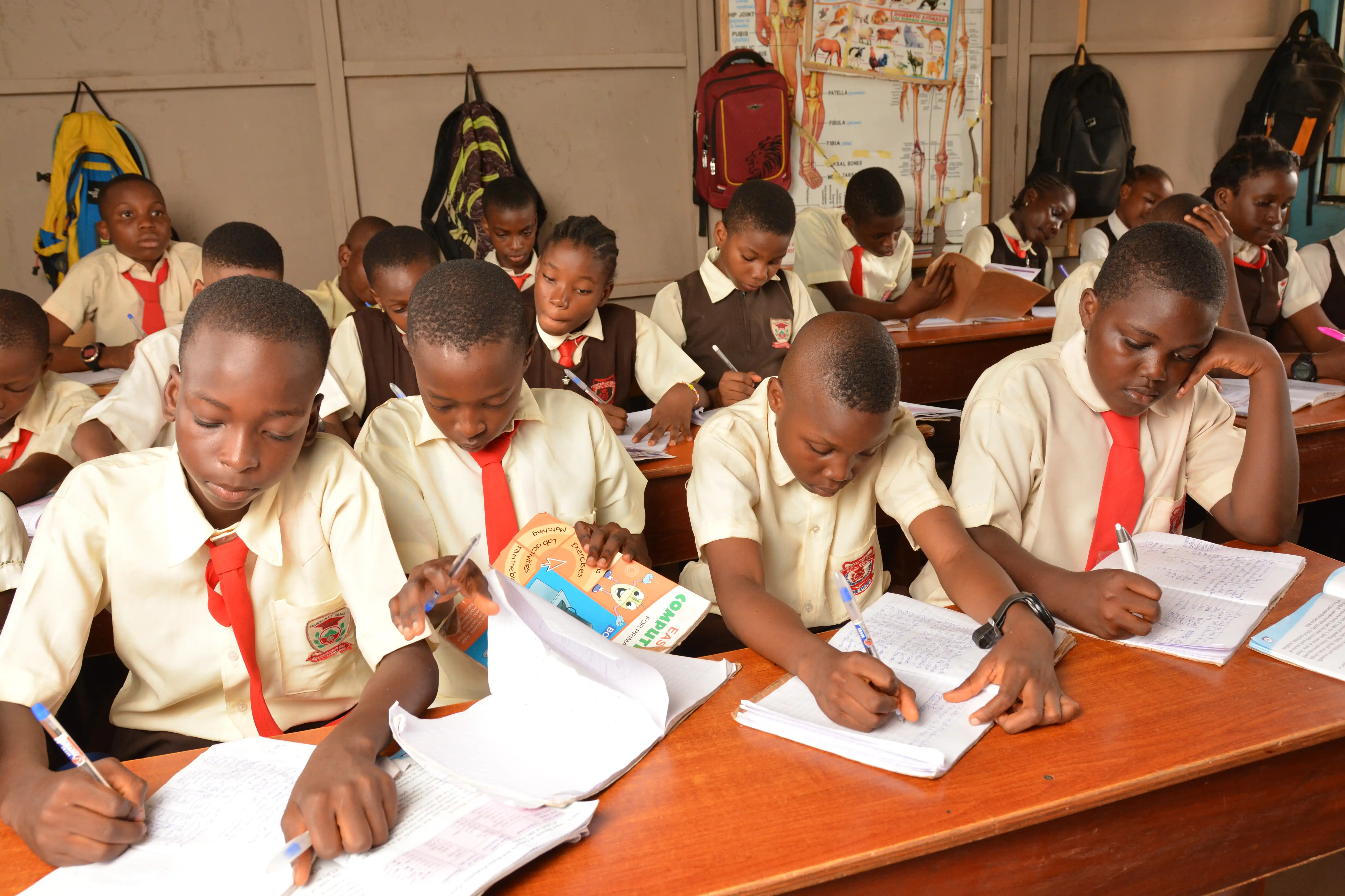 Cultural day celebration